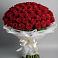 Букет 101 Красная роза Блэк Мэджик в Хреновом