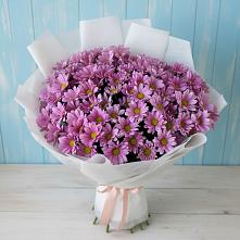 Букет цветов из:  Хризантемы в Хреновом