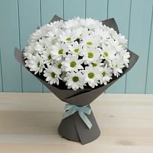 Букет цветов из:  Хризантемы #REPLACE_PRED# Хреновом