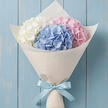 Букет цветов из:  Гортензия в Хреновом