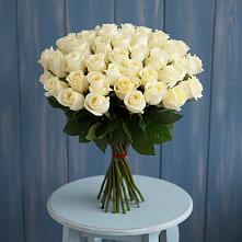 Букет 51 Белая роза Эдлесс Лав #REPLACE_PRED# Хреновом