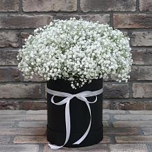 Цветочная композиция из Гипсофила в шляпной коробке в Хреновом