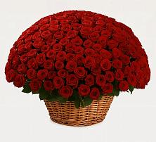 Премиум букет из: Розы #REPLACE_PRED# Хреновом